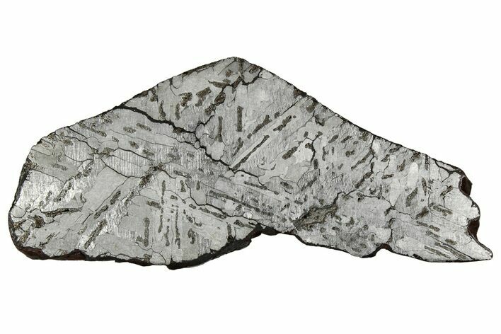 Etched Canyon Diablo Meteorite Slice ( g) - Arizona #356061